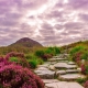 ireland september