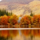 Corrour Lodge through the trees in Autumn